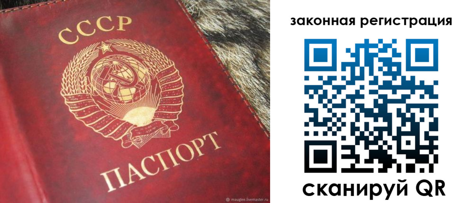 прописка от собственника в Череповце